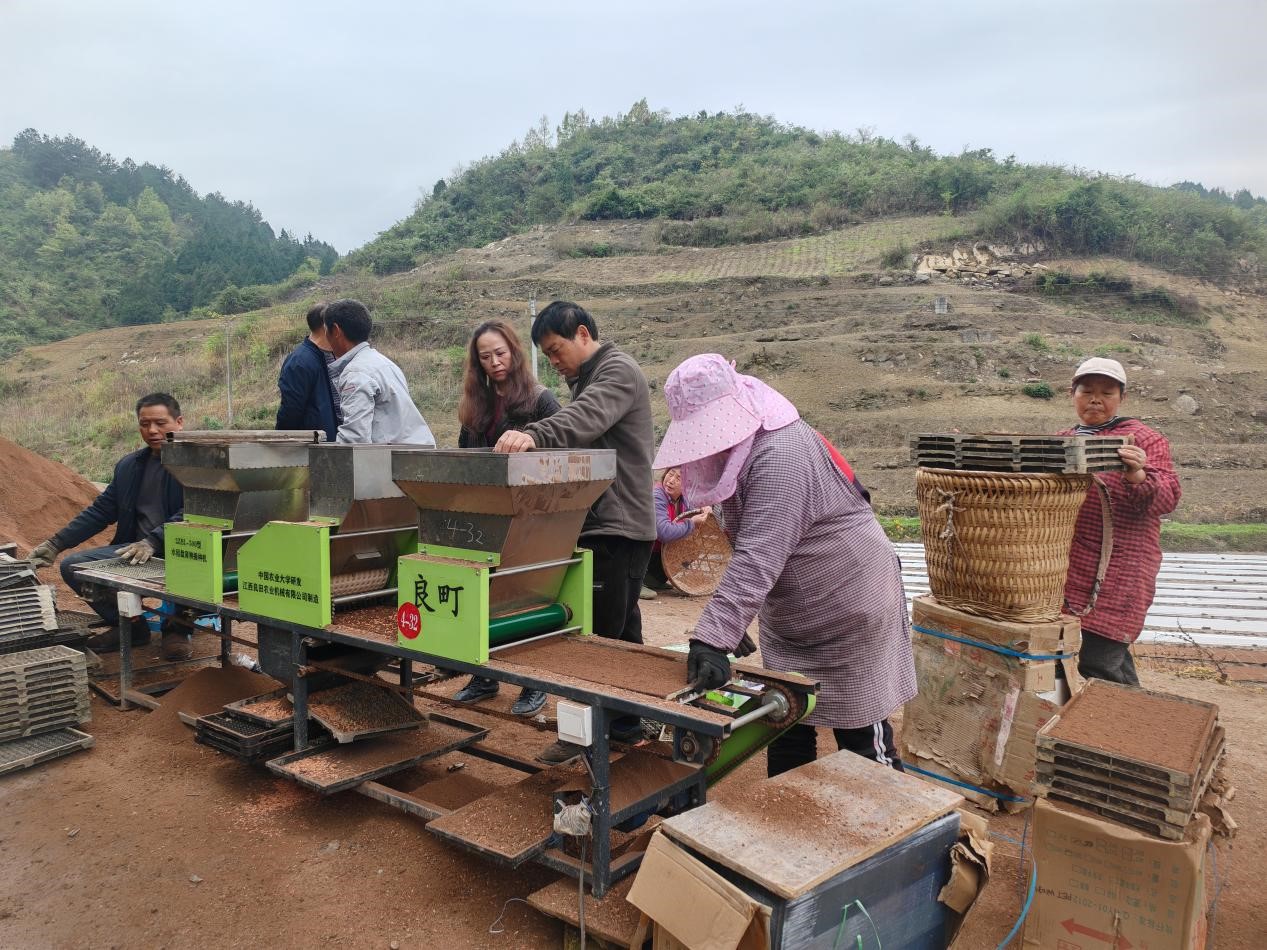 贵州石阡:水稻育秧正当时 机械育秧成首选