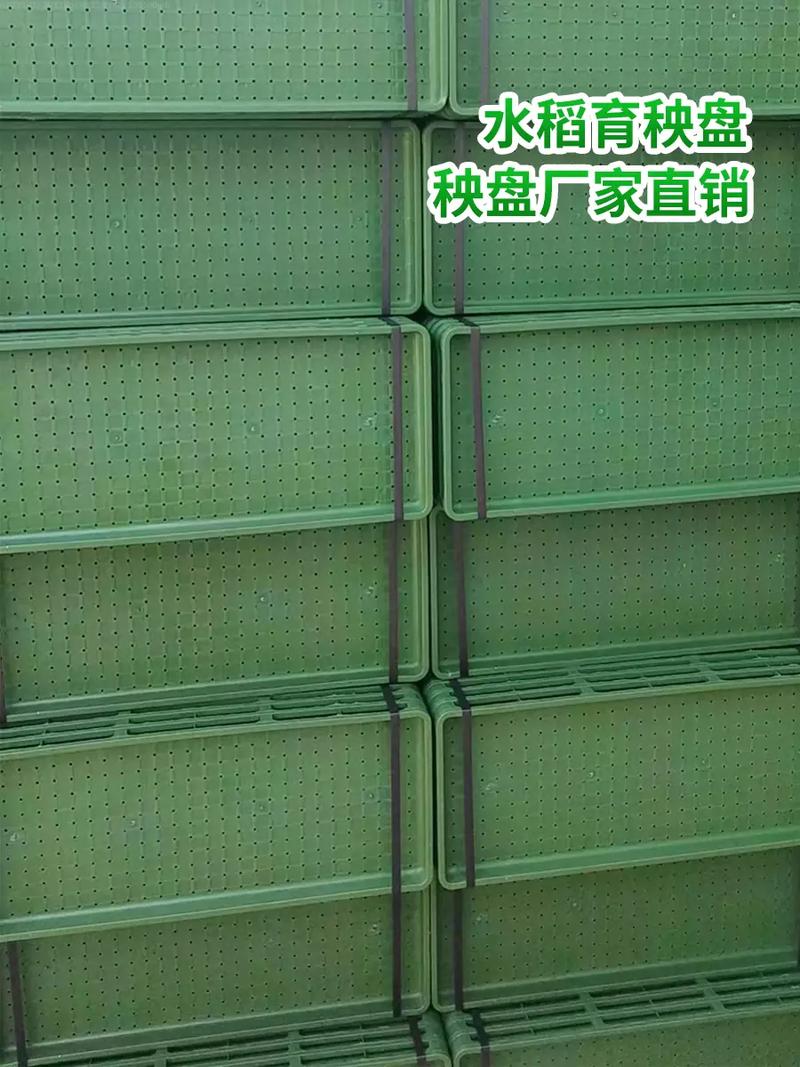 水稻育秧盘秧盘厂家直销