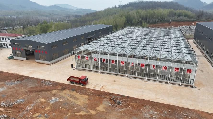 咸宁:工厂化育秧助力早稻生产提质增效