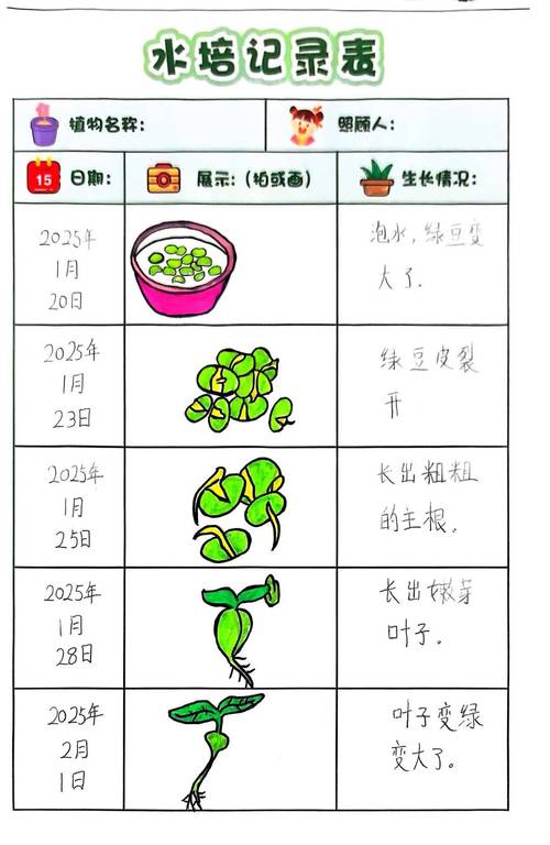 乙巳成长 快乐启航